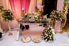 Chetan Shikha Wedding Reception-01-0029